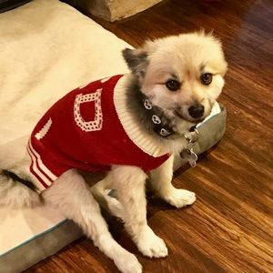 Meet your Posher, Cynthia